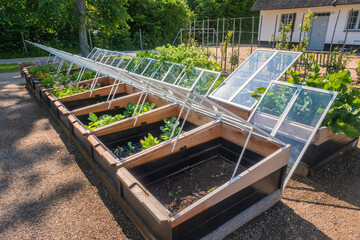 Vegetable garden at the royal Danish queens castle in Graasten, Denmark