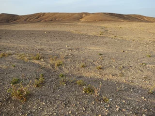 Fotobehang Steenwoestijn, stone desert  Ovda valley  Israel © AGAMI