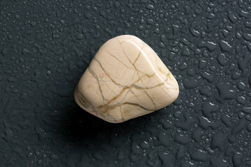 colorful sea  pebble with water drops