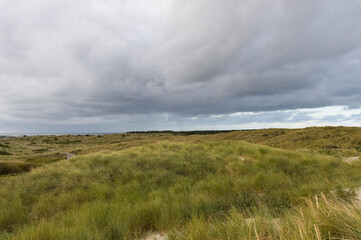 Fototapeta premium Duinen op Vlieland, Dunes at Vlieland