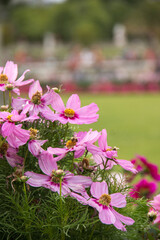 Keywords -- Keywords must be descriptive of the subject matter a