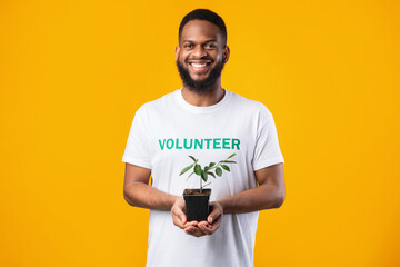 Black Male Volunteer Holding Plant In Pot Over Yellow Background