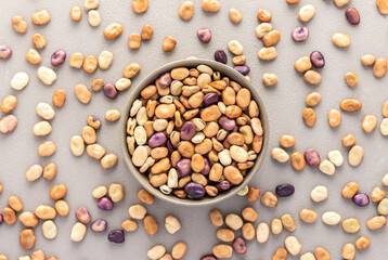 Legumes in bowl and scattered in the background, colorful beans in a plate on a gray background,...