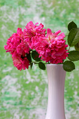 close-up red roses in a vase