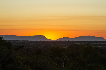 bushveld landscape