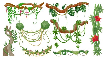 Jungle vines. Tropical tree branches with hanging liana ropes, green moss, exotic plant leaves and flower. Rainforest flora, vine vector set - obrazy, fototapety, plakaty