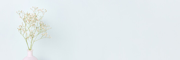 Banner with gypsophila flower in white vase in front of blue background. Spring composition with copyspace.