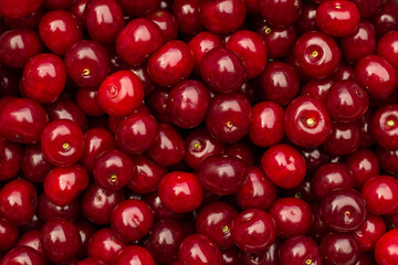 a lot of red sweet cherries. background and frame with place for text and inscriptions.