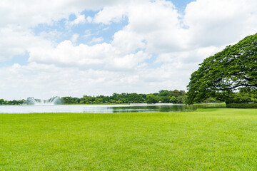 Scenic view of the park in the center of the big city in the summer. With a lagoon in the middle and green trees. Green public park with pond meadow grass field blue sky for leisure landscape