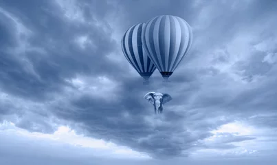 Gordijnen Een Afrikaanse olifant die in de lucht vliegt met een heteluchtballon, een geweldige bewolkte lucht op de achtergrond © muratart