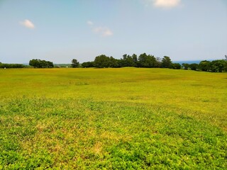 晴れた日の本州最南端和歌山県串本町潮岬の望楼の芝の風景（コピースペースあり）