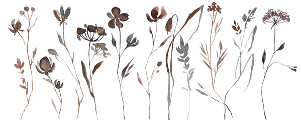 Abstract Watercolor Autumn Flower Set. Herbarium in boho style. Field fall flowers. Frame fall flowers. © Antonina Rushkina