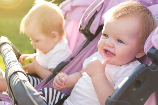 Happy twins in baby carriage in nature on a sunny day