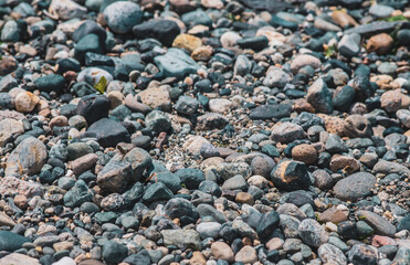 Beach stones of different sizes, background