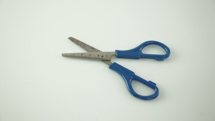 Scissor - Blue - Studio Photo