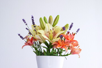 Bouquet of fresh colorful Asian lilies and Lavender in a white ceramic vase front view studio shot isolated on white