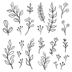 Floral graphic elements vector set. Flowers and plants hand drawn illustrations. Leaves and branches.