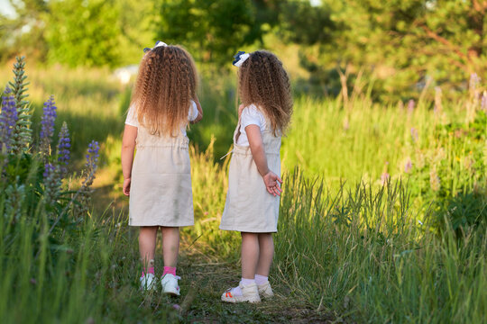  Summer vacation with children in nature. Twin girls in identical white sundresses on a path in a lupine field in the rays of the setting sun.