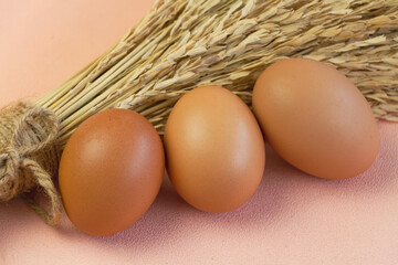 Three Eggs with brown shell put in front of blurred dried flower,