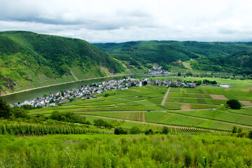 River Mosel with the town Beilstein and Ellenz-Poltersdorf in the Mosel valley of Germany