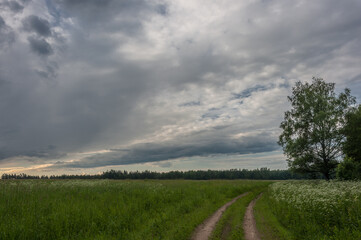 Fototapeta na wymiar Russian field with a road and clouds in the sky