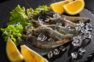 Fototapeta na wymiar Shrimp seafood sea prawn meal. fresh gourmet.