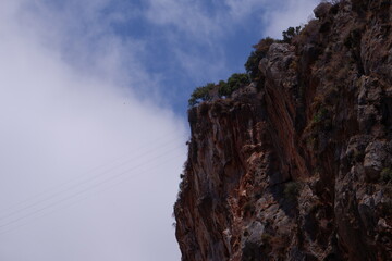 ducks swimming at river