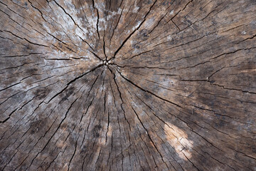 old wood background