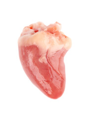 Chicken heart raw isolated on white background. Fresh chicken broiler heart. Close up.
