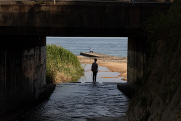 海