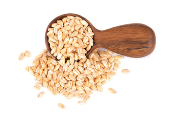 Pearl barley grains in wooden spoon, isolated on white background. Barley seed close up.