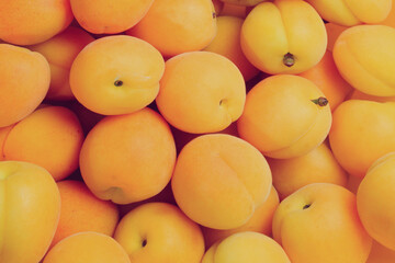 Ripe juicy orange apricots fruit background.