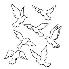 Hand-drawn illustration of a dove. Vector doodle birds isolated on white background for your design of wedding cards, posters, invitations.