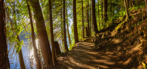 Panoramic View of Hiking Path in Green and Vibrant Rain Forest during a sunny summer day. Buntzen Lake, Anmore, Vancouver, British Columbia, Canada. Nature Background Panorama
