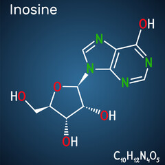 Inosine molecule. It is purine nucleoside, commonly occurs in tRNA. Consists of hypoxanthine connected to ribofuranose glycosidic bond. Structural chemical formula on the dark blue background