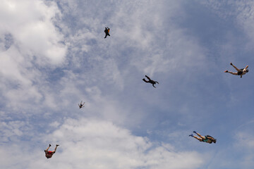 Skydiving. Half-naked skydivers are falling in the sky.
