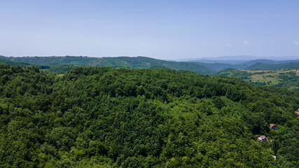 Naklejka premium Aerial view of summer trees. Colorful trees from above. Aerial view overhand the green forest and river