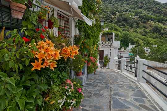 Streets of Pampaneira. Town located in the Alpujarra region, in the province of Granada.