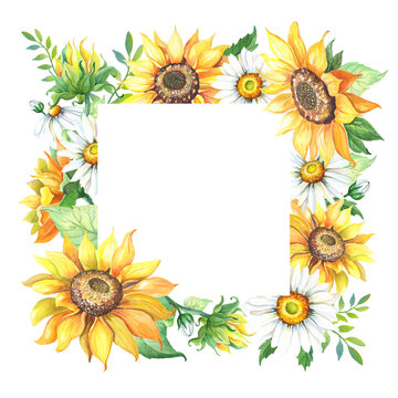 Frame of yellow sunflower,white chamomile. Greeting card with gelianthus, daisy.