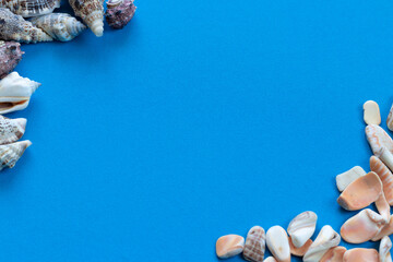 Frame at the corners of seashells and marine fossils laid out on a blue woven background and copy space