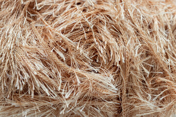 Background texture of beige nylon or acrylic yarn with a long thick pile for knitting handmade or hobby resembles grass