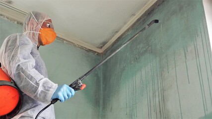 Mold Inspection and Remediation. Toxic black Mold Removal disinfector specialist. Cleaning and...