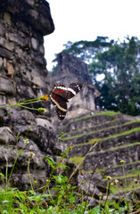 climber on a rock