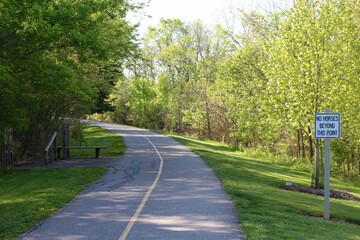 The empty curved pathway in the park.