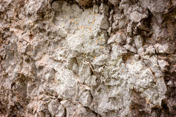 The texture of the sandstone, the structure of the stone.