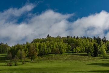 Fototapeta na wymiar Morning near Nejdek town with fresh green pasture land after rain