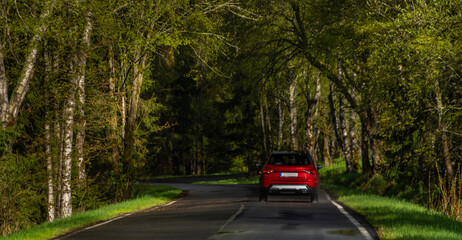 Red fast car in spring sunrise forest on wet black road after rain