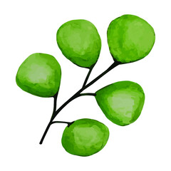 Watercolor photo. Botanical clipart. A set of green leaves, herbs and twigs. Floral design elements. Wedding invitations, greeting cards, blogs, posters, etc. Perfect for