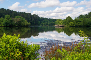 Little Mulberry Park, GA Lake Reflection