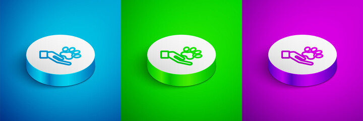 Isometric line Hands with animals footprint icon isolated on blue, green and purple background. Pet paw in heart. Love to the animals. White circle button. Vector